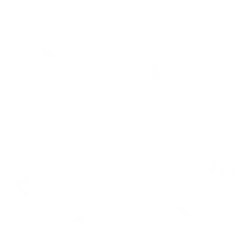 balanced-gut