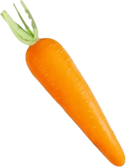 carrot-icon