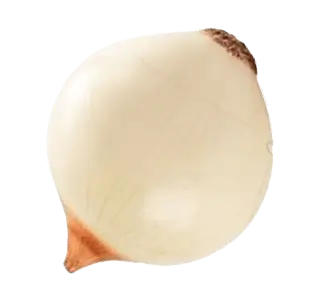 onion